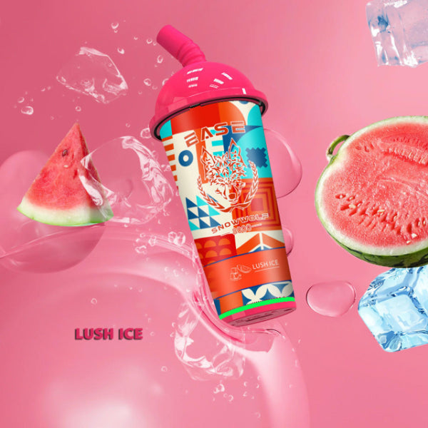 SnowWolf Ease 8000 Puffs Disposable 18mL 10 Pack Best Flavor Lush Ice