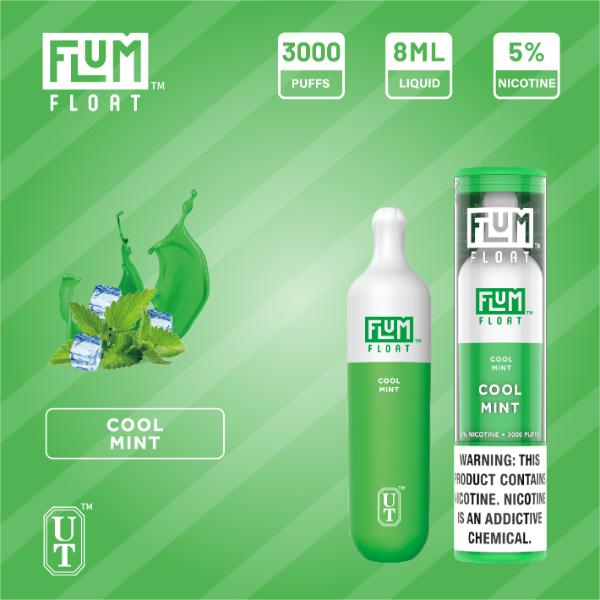 Flum Float 3000 Puffs Disposable Vape 8mL 10 Pack Best Flavor Cool Mint