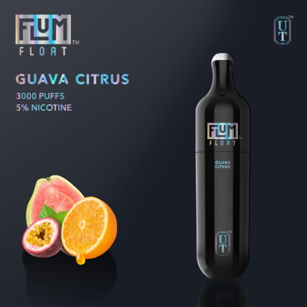 Flum Float 3000 Puffs Disposable Vape 8mL 10 Pack Best Flavor Guava Citrus