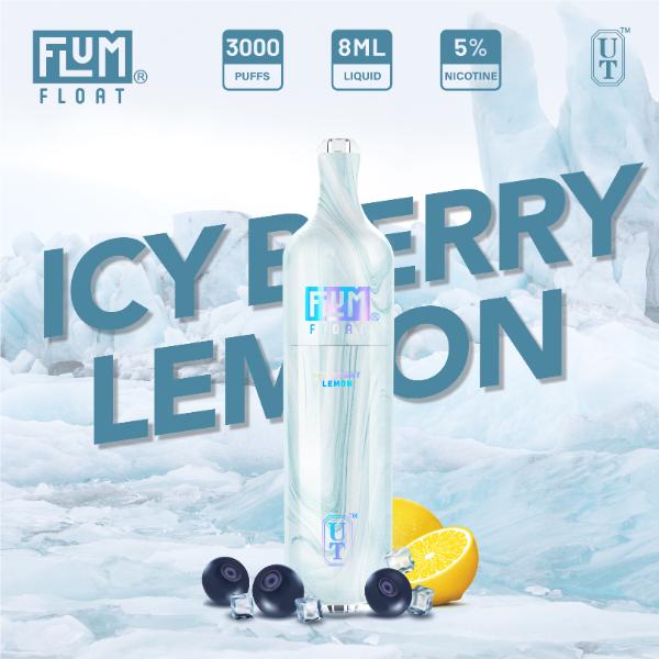 Flum Float 3000 Puffs Disposable Vape 8mL 10 Pack Best Flavor Icy Berry Lemon