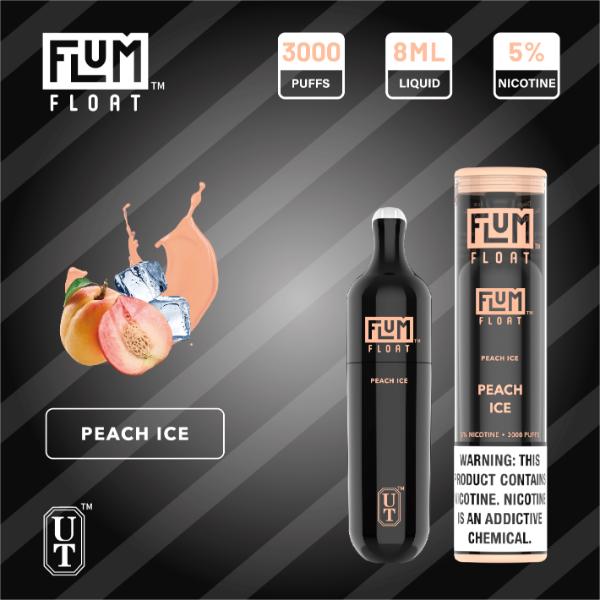 Flum Float 3000 Puffs Disposable Vape 8mL 10 Pack Best Flavor Peach Ice