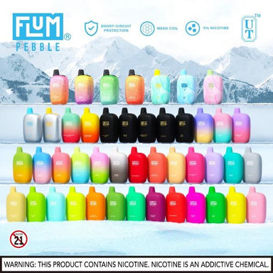 Flum Pebble 6000 Puffs Rechargeable Disposable Vape 14mL 10 Pack Best Flavors