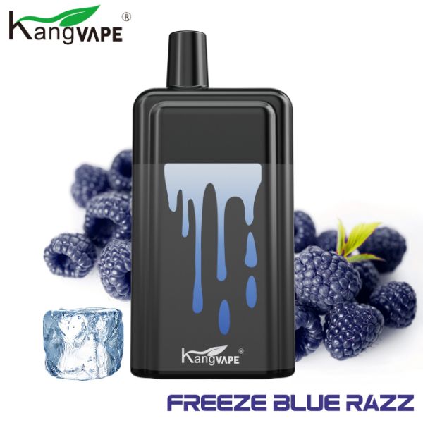 Kangvape Onee Stick 5200 Puffs Disposable Vape 18.5mL 10 Pack Best Flavor Freeze Blue Razz