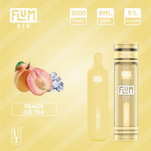 Flum GIO Disposable Vape 10 Pack 8mL Best Flavor Peach Ice Tea