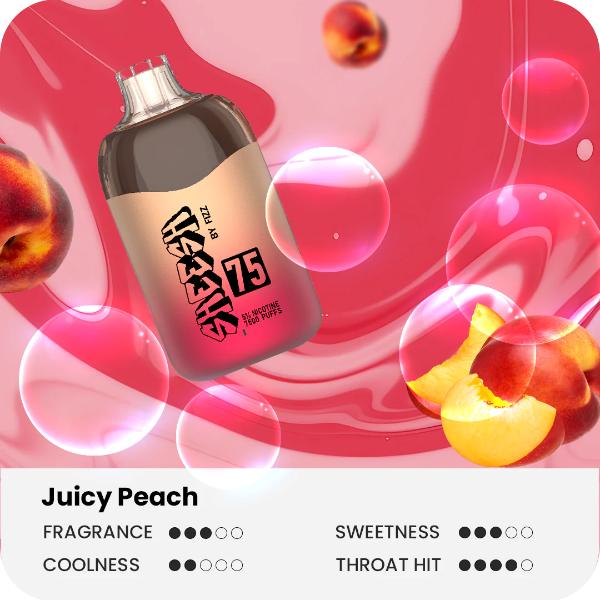 Sheesh75 by Fizz 7500 Puffs Disposable Vape 17mL Best Flavor Juicy Peach