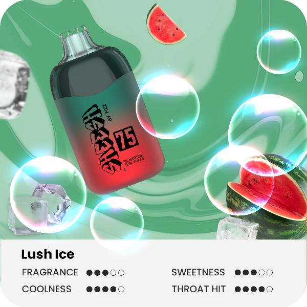 Sheesh75 by Fizz 7500 Puffs Disposable Vape 17mL Best Flavor Lush Ice