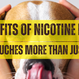 The Benefits of Nicotine Pouches: Are ZYN Pouches More Than Just a Habit?
