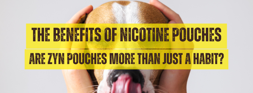 The Benefits of Nicotine Pouches: Are ZYN Pouches More Than Just a Habit?