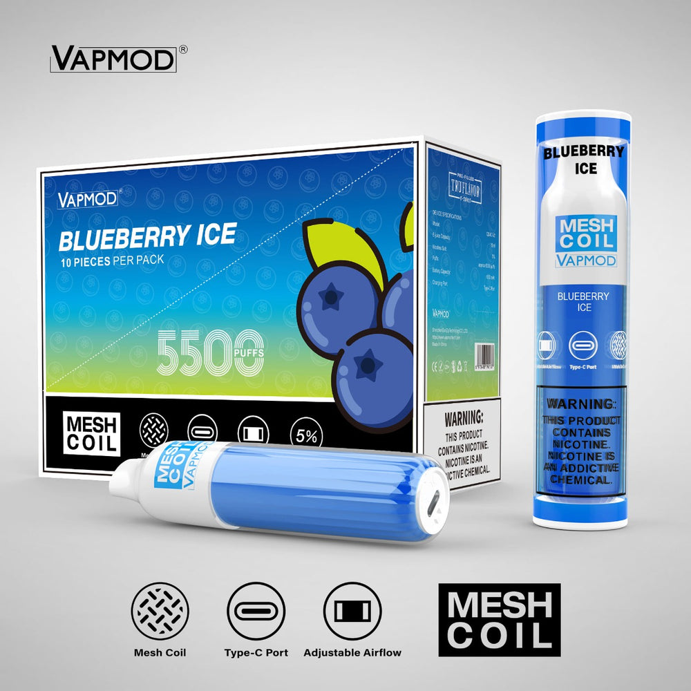 Vapmod QD40-V2 5500 Puffs Blueberry Ice