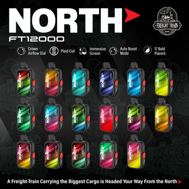 North FT12000 Disposable Vape Best of All Flavors