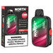 Best Deal North FT12000 Disposable Vape 15mL Raspberry Watermelon