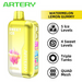 Best Deal Artery CL6 50,000 Puffs Disposable Vape 26mL 5 Pack - Watermelon Lemon Gummy