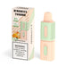 Best Deal HorizonTech Binaries Cabin TH6000 Puffs Disposable Vape 12mL Apricot Mango Peach Ice