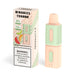 Best Deal HorizonTech Binaries Cabin TH6000 Puffs Disposable Vape 12mL Cantaloupe Honeydew Watermelon Ice