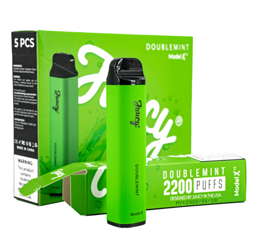 JUUCY Model X V2 2200 Puff Single Disposable Vape 6mL Best Flavor Doublemint